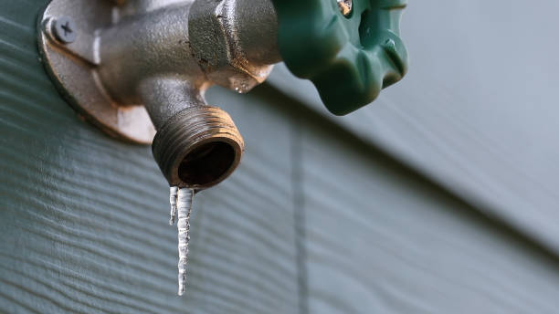 Best Leak Detection Services  in Cayuga, IN