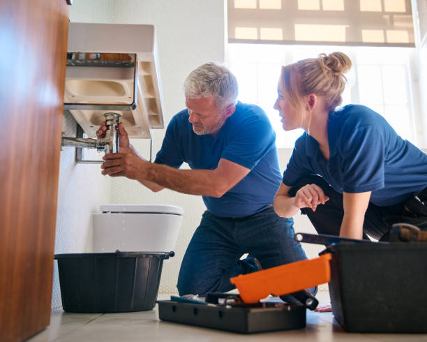 Best Clogged Drain Plumber  in Cayuga, IN