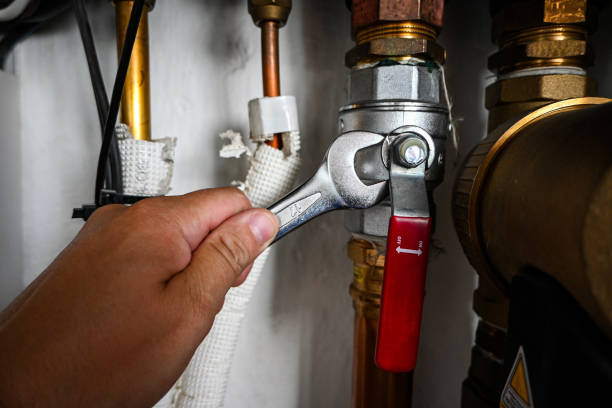 Best Sprinkler Systems  in Cayuga, IN